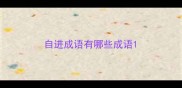 自进成语有哪些成语