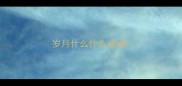岁月什么什么成语