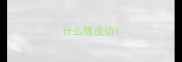 什么鹰成语
