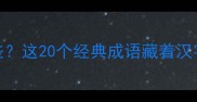 有字断的成语有哪些这20个经典成语藏着汉字拆分智慧附详细