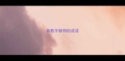 有数字植物的成语