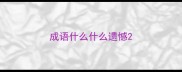成语什么什么遗憾