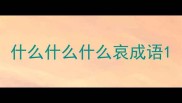 什么什么什么哀成语