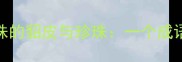 成语故事买椟还珠的貂皮与珍珠一个成语背后的商业智慧