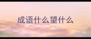 成语什么望什么