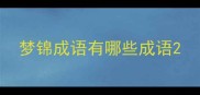 梦锦成语有哪些成语
