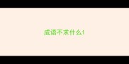 成语不求什么