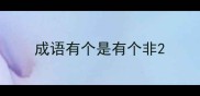 成语有个是有个非