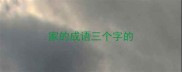 家的成语三个字的