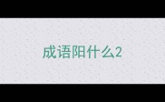 成语阳什么