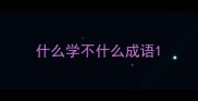 什么学不什么成语
