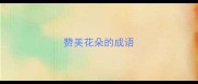 赞美花朵的成语