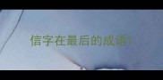 信字在最后的成语