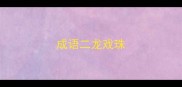 成语二龙戏珠