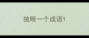 独眼一个成语