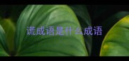 谎成语是什么成语