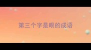 第三个字是眼的成语