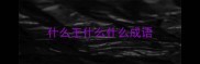 什么王什么什么成语