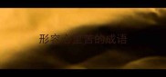 形容心里苦的成语