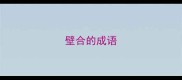 壁合的成语