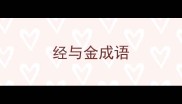 经与金成语
