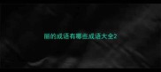 丽的成语有哪些成语大全