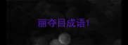 丽夺目成语