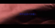 宾字成语大全集