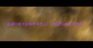 成语中最大的树叶叫什么一望无际的生态奇迹