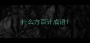 什么方百计成语