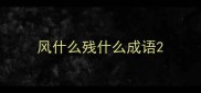 风什么残什么成语