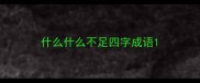 什么什么不足四字成语