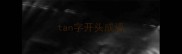 tan字开头成语