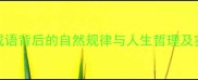 四时寒暑成语背后的自然规律与人生哲理及实用应用指南