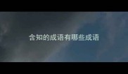 含知的成语有哪些成语