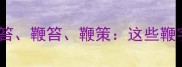 鞭策鞭挞鞭打鞭笞鞭笞鞭策这些鞭字开头的成语及其用法