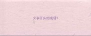 火字开头的成语