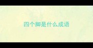 四个脚是什么成语