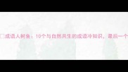 成语人树鱼10个与自然共生的成语冷知识最后一个惊呆了