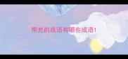 带充的成语有哪些成语