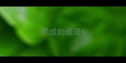 熙成的成语