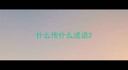 什么传什么成语
