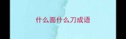 什么面什么刀成语