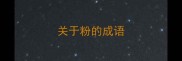 关于粉的成语