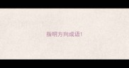 指明方向成语