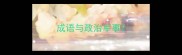 成语与政治军事