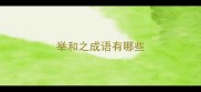 举和之成语有哪些
