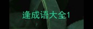 逢成语大全