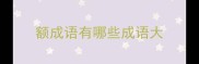 额成语有哪些成语大