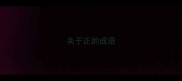 关于正的成语